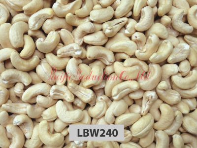 vietnam cashew nut LBW240