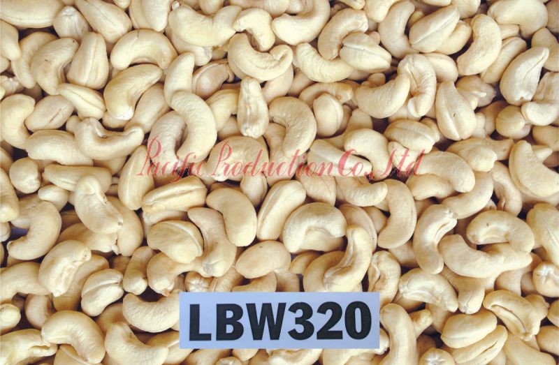 vietnam cashew nut lbw 320