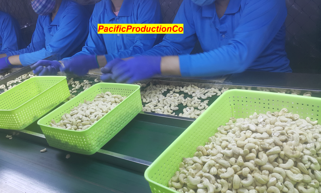 Cashew Nuts Pacific Production Co., Ltd