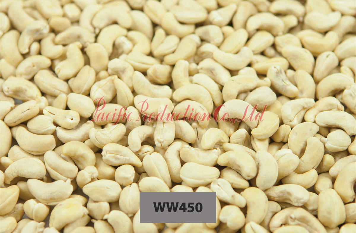 Vietnam Cashew Nut WW450